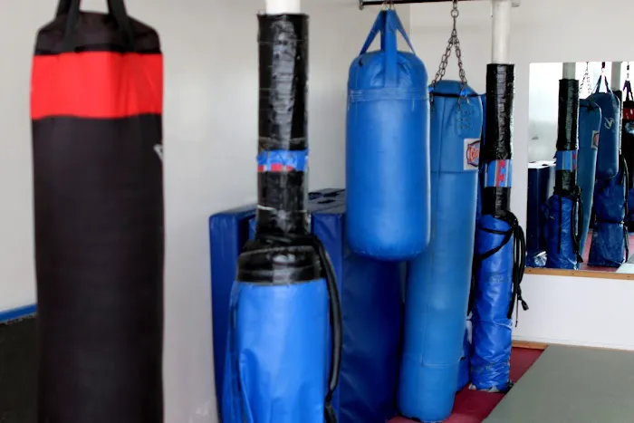 Salinas Taekwondo Academy Picture 6