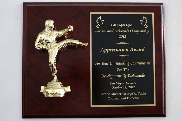 Salinas Taekwondo Academy Picture 7