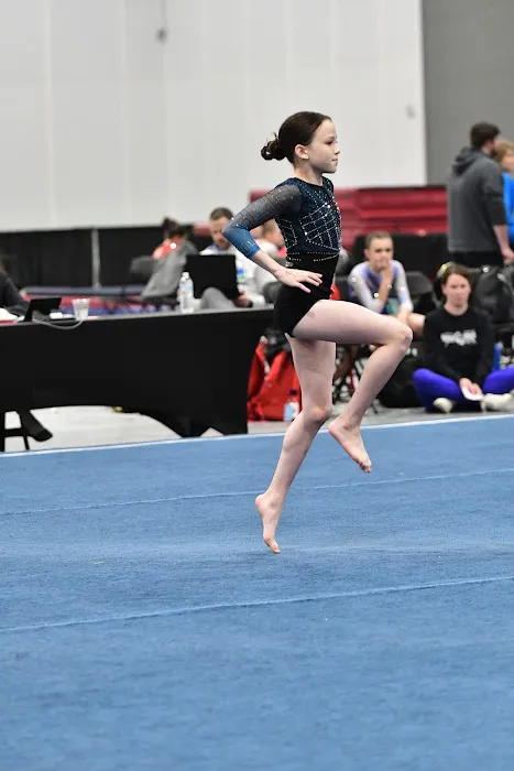 North Myrtle Beach Gymnastics & More Picture 7