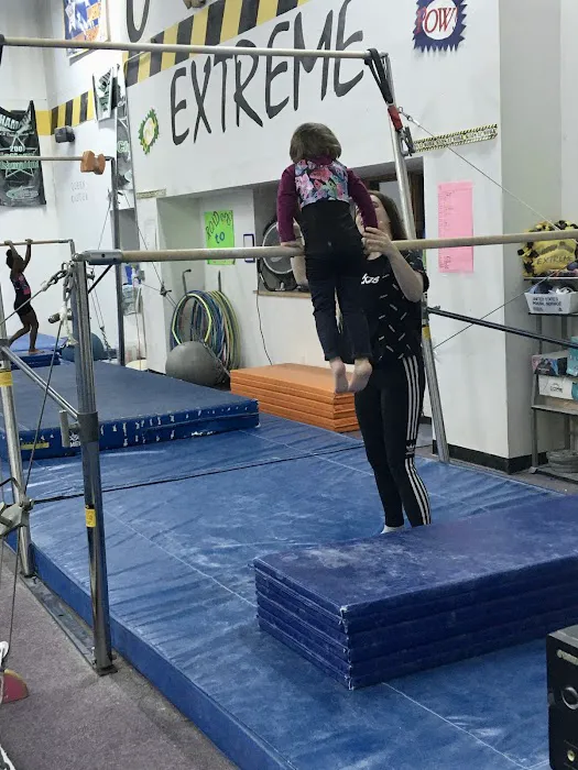 Gymnastics Zone & Cheer Zone, Inc. Picture 3