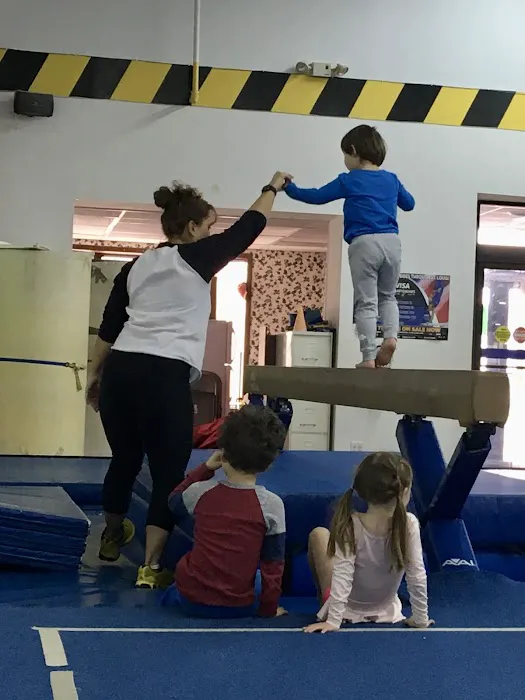 Gymnastics Zone & Cheer Zone, Inc. Picture 4