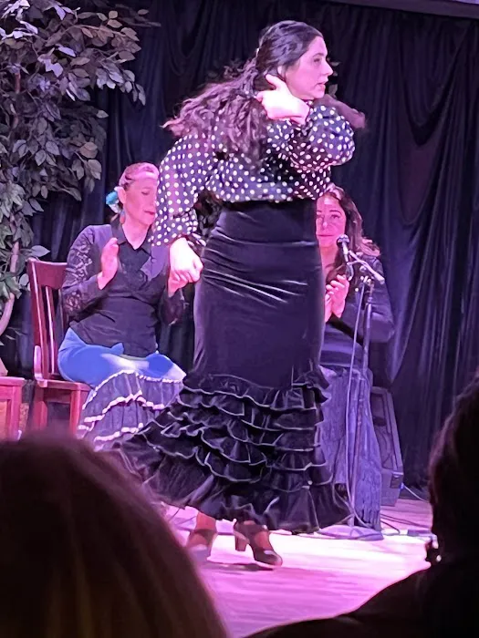 Maria Vazquez - Flamenco Denver Picture 1