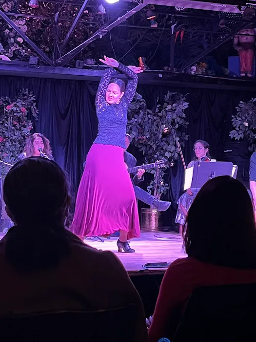 Maria Vazquez - Flamenco Denver Picture 5