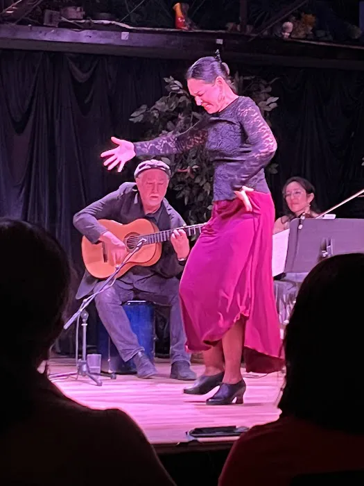 Maria Vazquez - Flamenco Denver Picture 6