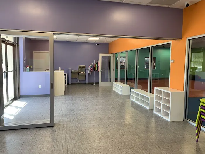 The Little Gym of Decatur Picture 6