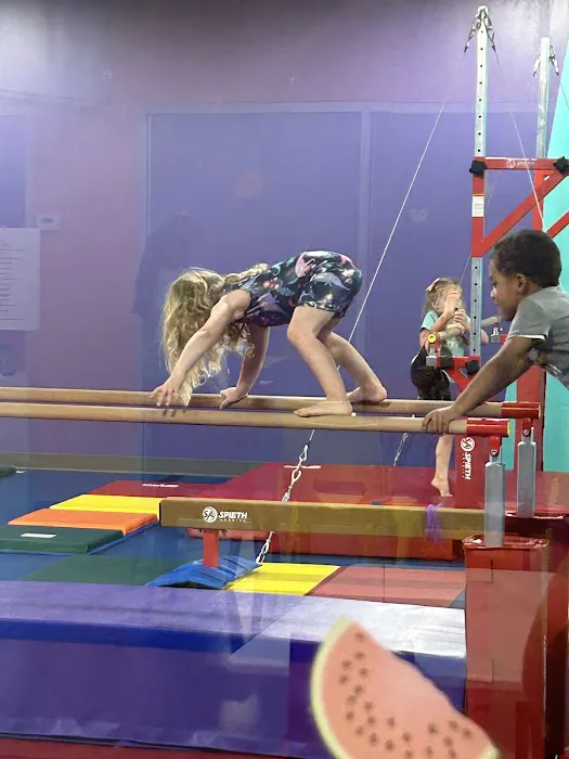 The Little Gym of Decatur Picture 1