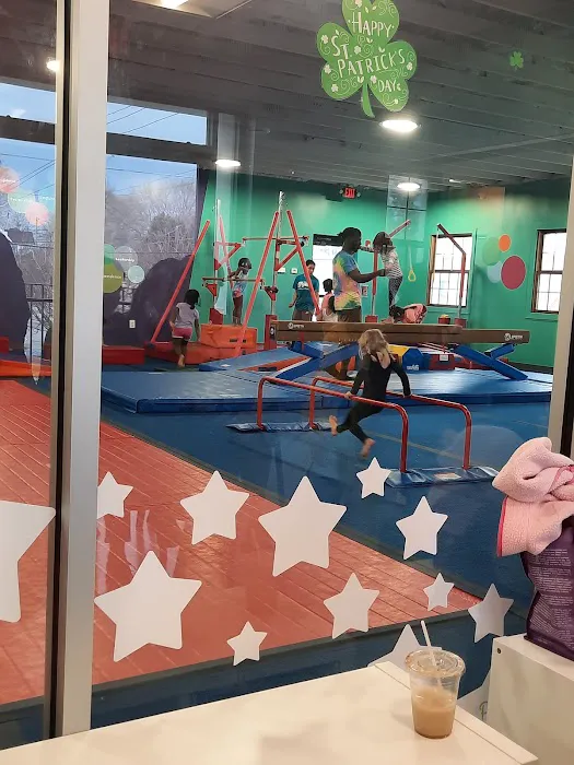 The Little Gym of Decatur Picture 2