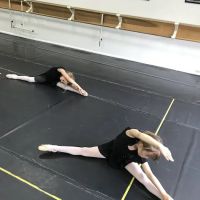 Victoria Ballet Theater Inc ico
