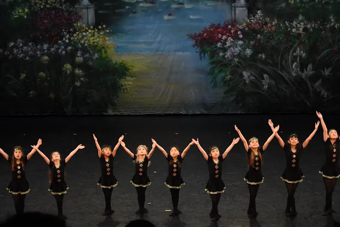 Victoria Ballet Theater Inc Picture 3