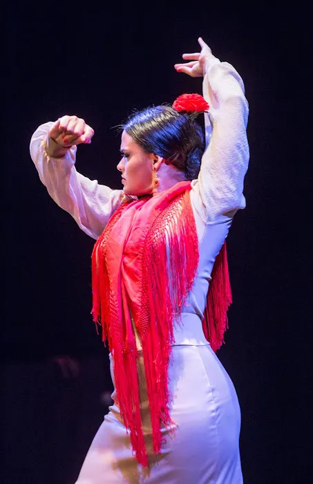 PAN, Performing Arts Network and School Picture 9