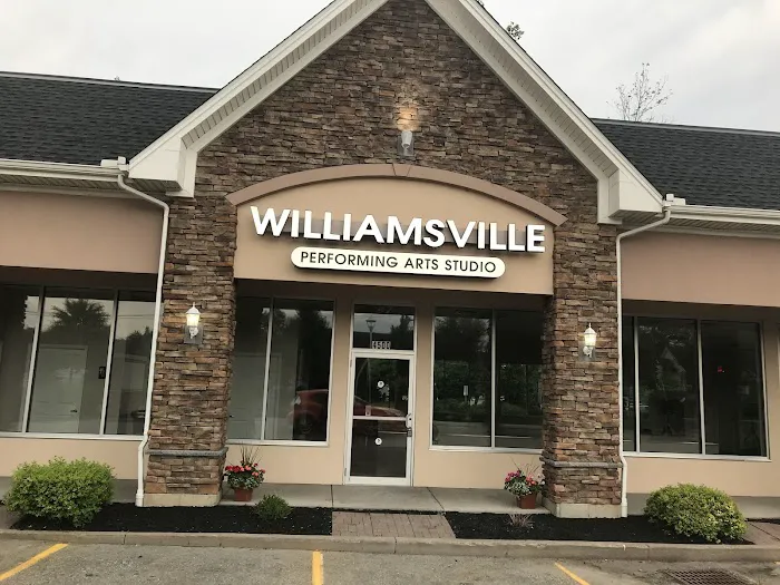Williamsville Performing Arts Studio Picture 10