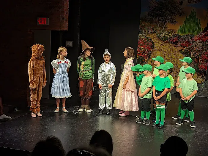 Williamsville Performing Arts Studio Picture 5