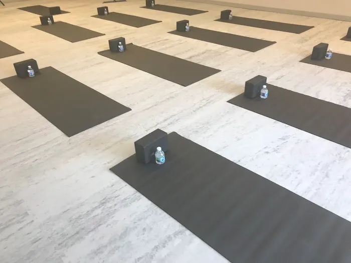 Moxie Yoga Barre Pilates Picture 4