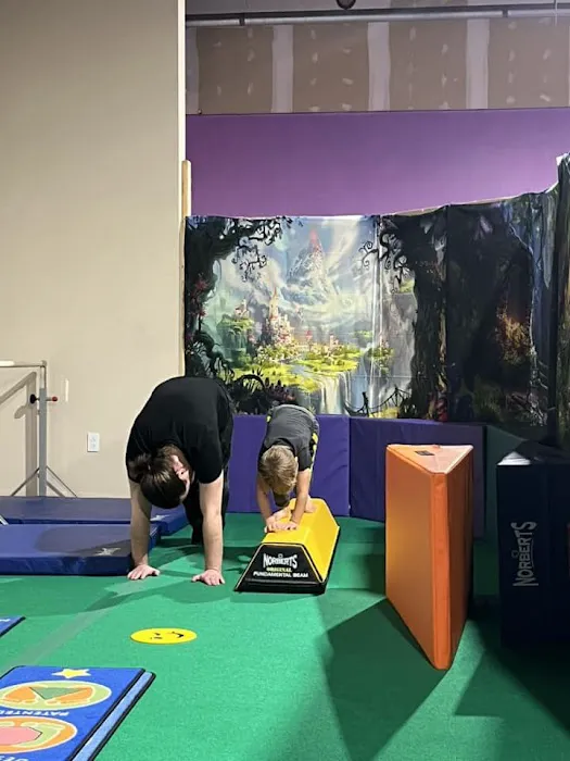 Dreamflight Theatrical Gymnastics, Inc. Picture 2