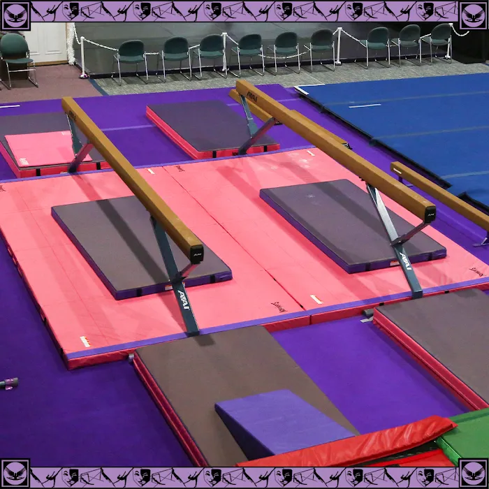 Dreamflight Theatrical Gymnastics, Inc. Picture 4