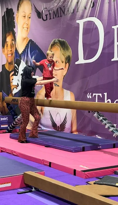 Dreamflight Theatrical Gymnastics, Inc. Picture 1