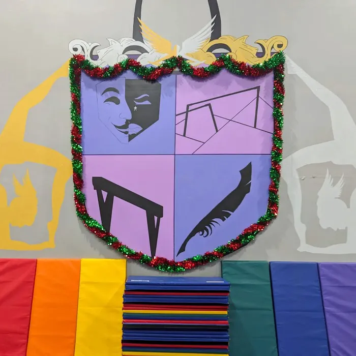 Dreamflight Theatrical Gymnastics, Inc. Picture 6