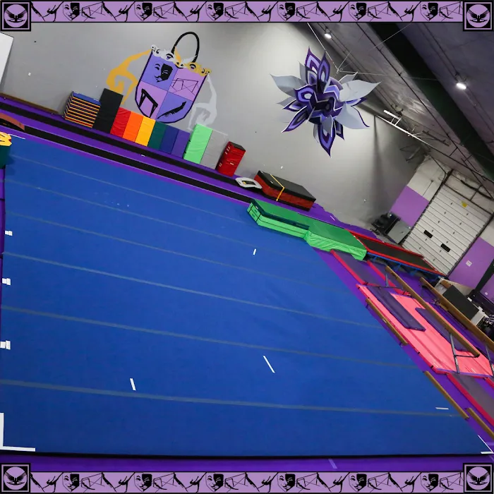 Dreamflight Theatrical Gymnastics, Inc. Picture 10