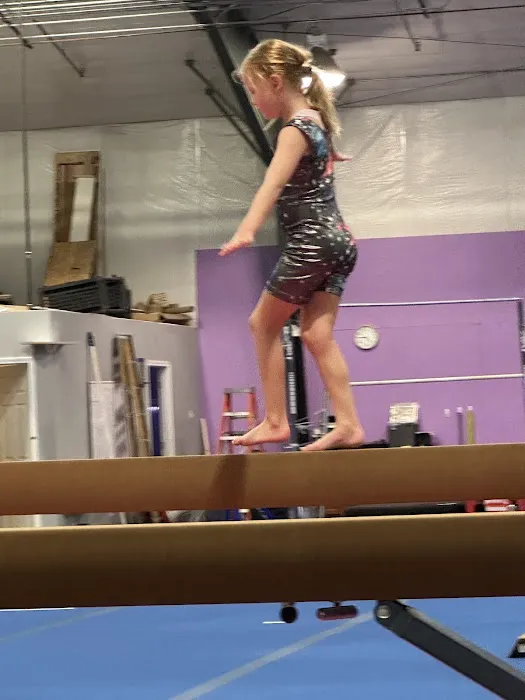 Dreamflight Theatrical Gymnastics, Inc. Picture 3