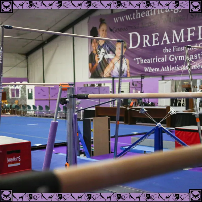 Dreamflight Theatrical Gymnastics, Inc. Picture 9
