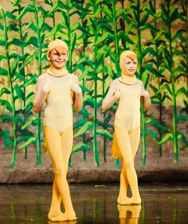 Littleton Youth Ballet Picture 3