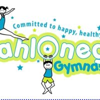 Dahlonega School of Gymnastics ico