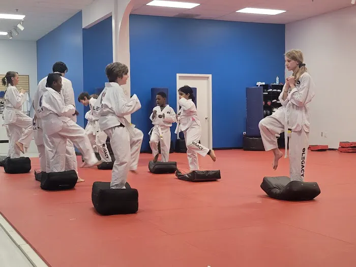 Legacy Martial Arts - Columbia Picture 5