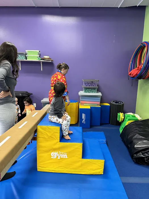 The Little Gym of Fenton Picture 6