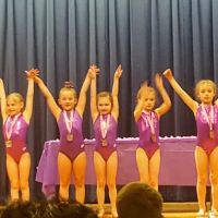Blue Ridge Gymnastics Academy ico