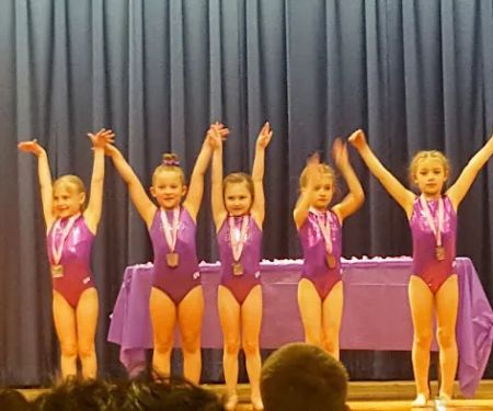 Blue Ridge Gymnastics Academy