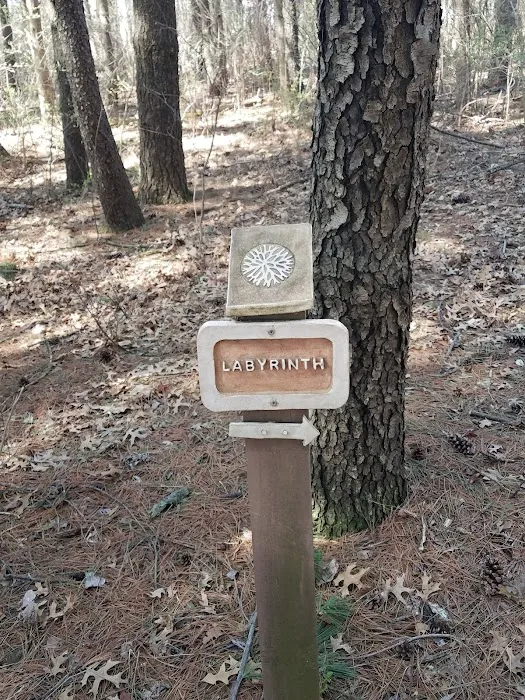 Womanspace Picture 5