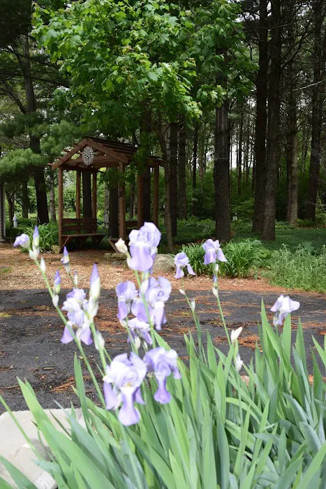 Womanspace Picture 2