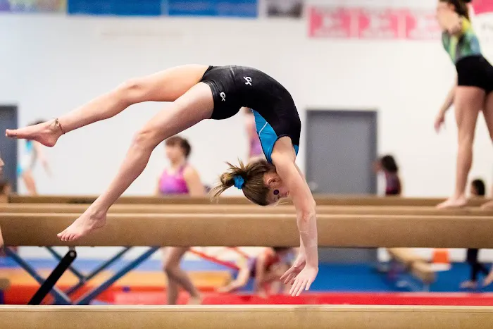 Champaign Gymnastics Academy Picture 2