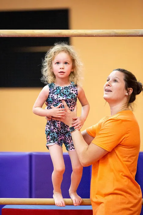 Champaign Gymnastics Academy Picture 6