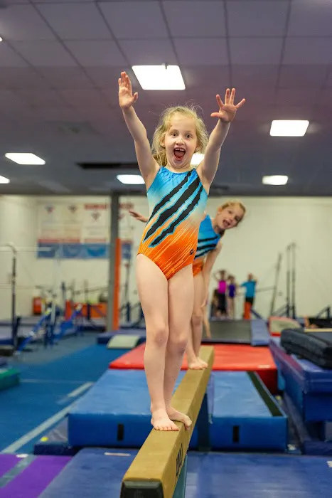 Champaign Gymnastics Academy Picture 3