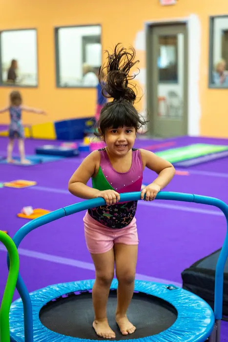 Champaign Gymnastics Academy Picture 4