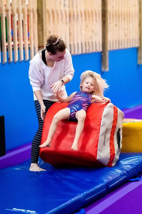 Champaign Gymnastics Academy Picture 8