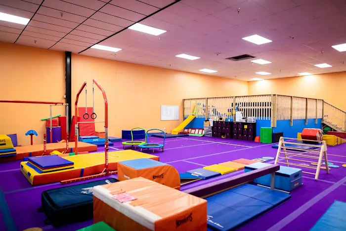 Champaign Gymnastics Academy Picture 10