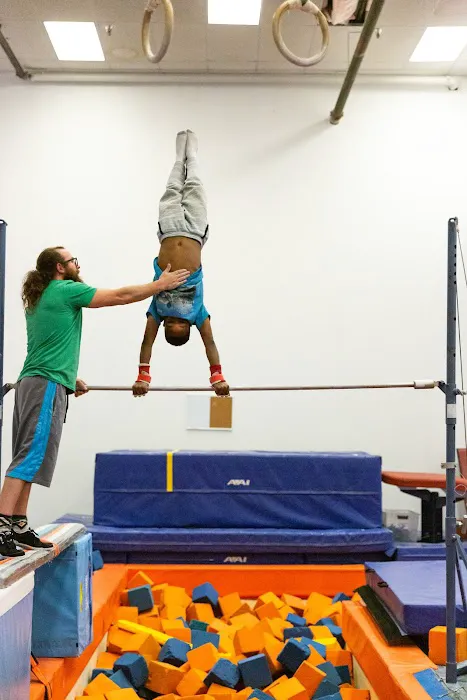 Champaign Gymnastics Academy Picture 5