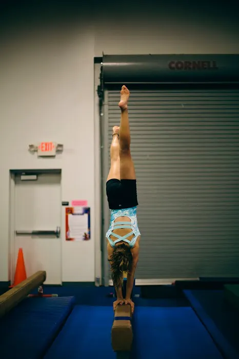 Flip 2 It Sports Center Picture 4