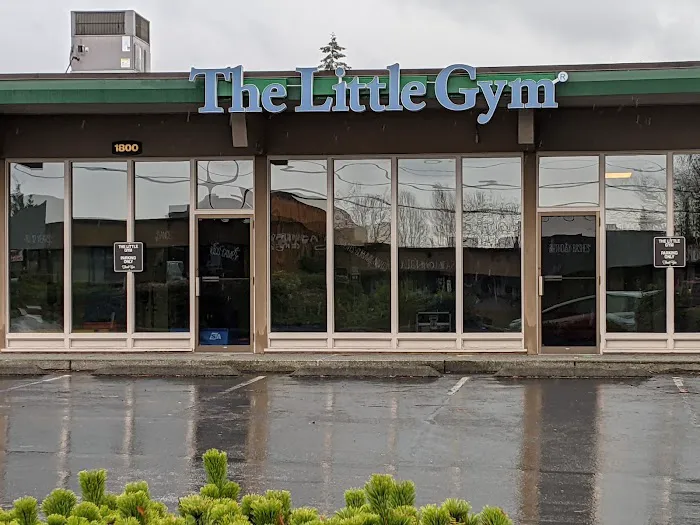 The Little Gym of Bellevue-Redmond Picture 9
