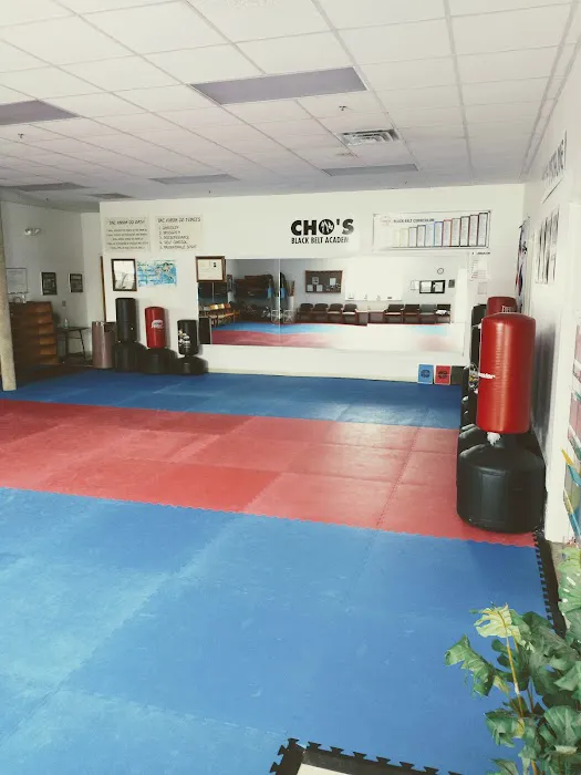 Cho's Black Belt Academy Picture 4