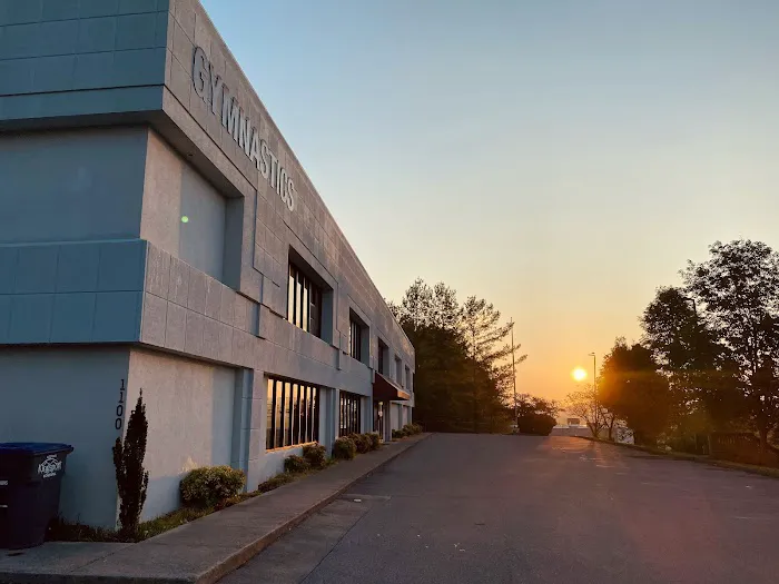 Flight Athletic Academy of Gymnastics, Ninja & Tumbling Picture 7