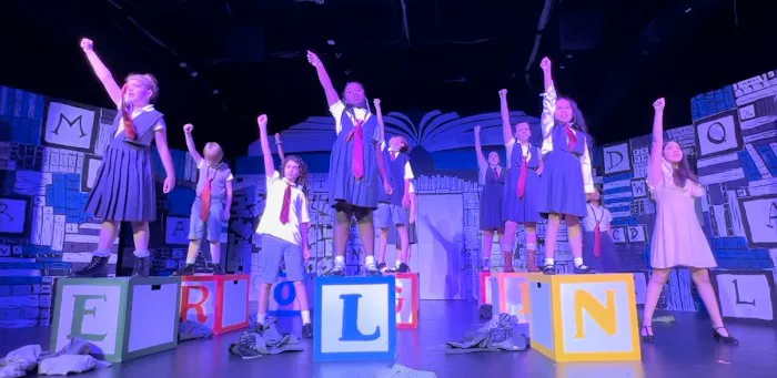 Red Phoenix Performing Arts Studio Picture 1