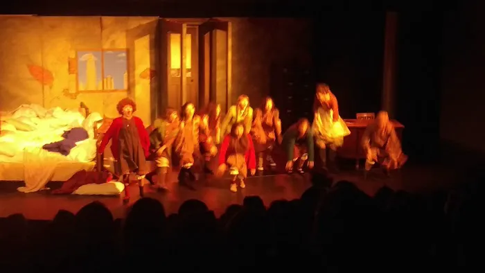 Performing Arts Academy Picture 3