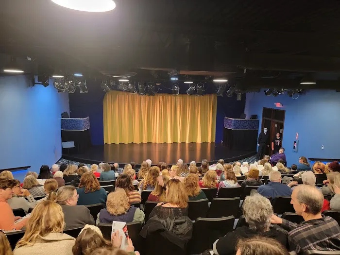 Performing Arts Academy Picture 7