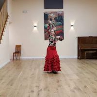 Flamenco Haven ico