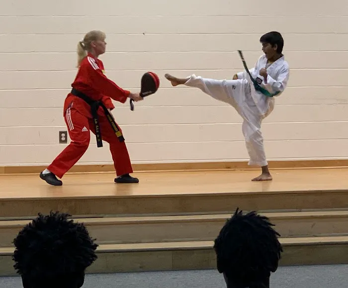 Tiger Kim's World Class Tae Kwon Do Centers Picture 8