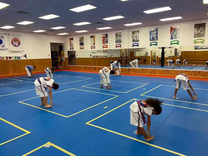 Tiger Kim's World Class Tae Kwon Do Centers Picture 4