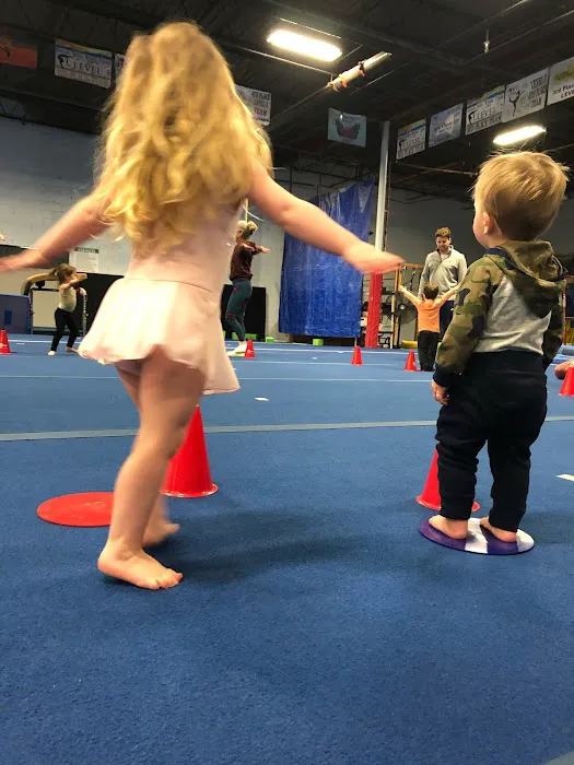 Dutchess County Gymnastics Center Picture 3
